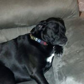 Mandy Noll-McManus's photo