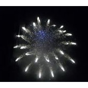 Ben Pagano's photo