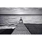 Shari Gill's photo