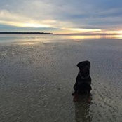 Resa Dollar's photo