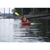 Steven Morse's photo
