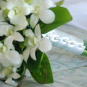 Cheryl Comely's photo