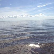 Foto von Stephanie Sedgewick