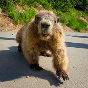 Robert Gulotta's photo