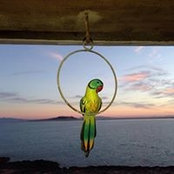 Foto di Phyllis Riley