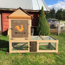 Chicken Coop