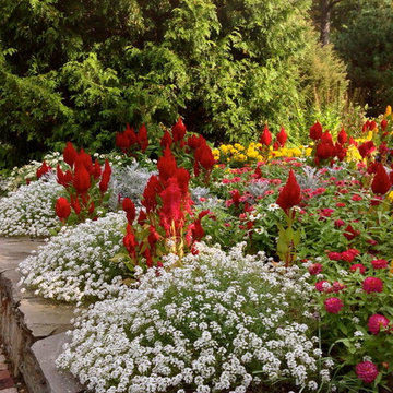 Planting for Privacy, Color and Texture