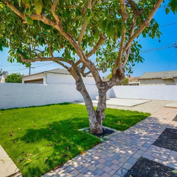 Exterior Renovation