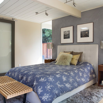 Palo Alto Eichler Remodel