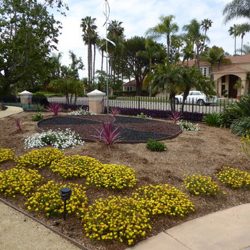 Lawn conversion in Fairbanks Ranch