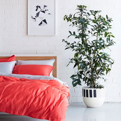 Sturt Stony Pot | Pop & Scott - Indoor Pots And Planters