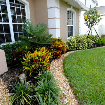 Front Yard/Back Yard/Pool Landscapes
