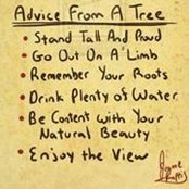 Colleen Vytlacil's photo