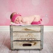 Dani Fletcher's photo