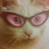 Deborah Amelio's photo