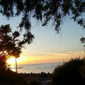 Muna Zatara's photo