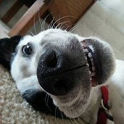 Pamela Burger's photo