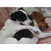 Robin Plotzker's photo