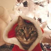 Emily Weekley's photo