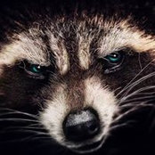 Dmitry Kudosh's photo