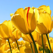 Shana Ravnsborg's photo