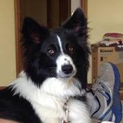 Maree Turra's photo