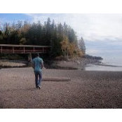 Enrique Framptino's photo