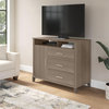 Somerset Tall TV Stand with Storage in Ash Gray - Engineered Wood