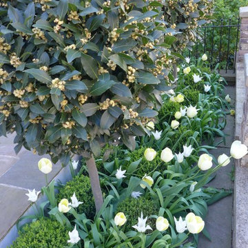 My Gardens