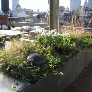 NYC Rooftop
