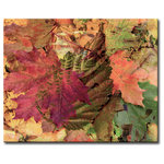 Ready2HangArt - Fall Ink XXV, Canvas Wall Art, 12 in Highx16" - Create a serene environment in your space with 'Fall Ink XV' which blends traditional fall decor with modern artistic elements. Dusted with a twinge of sepia coloring, the pale autumn hues in the assortment of leaves and sprigs, create a seemingly endless world of falling foliage. Handcrafted in the U.S.A., this gallery wrapped canvas art arrives ready to hang on your wall. Refine your space with an art piece from Ready2HangArt's Fall Ink collection, which will effortlessly bring a warm essence of autumn to any style of decor.