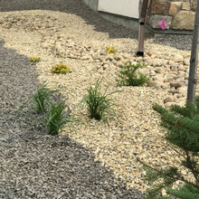 Sautee Dry Creek Bed