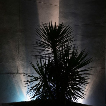 Charlotte Contemporary