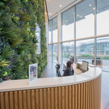 VistaFolia Interior Office Design with Green Walls