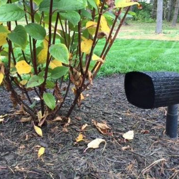 Outdoor Projects