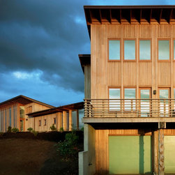 Contemporary Work - Windows And Doors