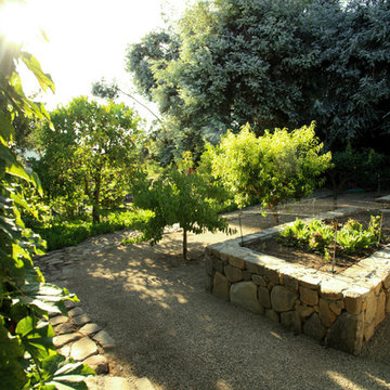Vegetable Gardens