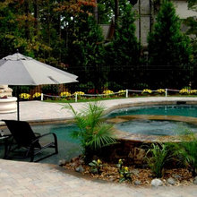 Pool and Yard