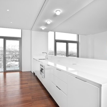 Salt Lake City Penthouse