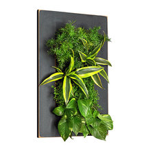 Planters