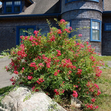 Garden Design - Traditional Plantings and Materials