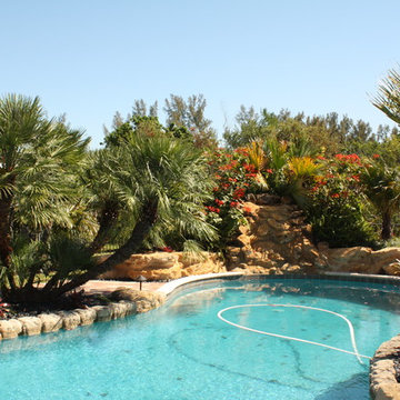 Pool Landscape