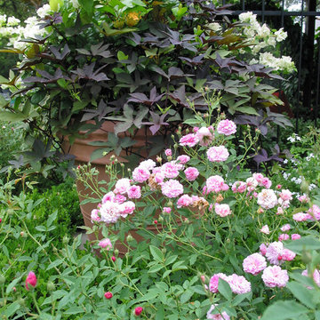 Miscellaneous Gardens and Pretty Things