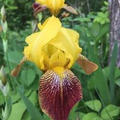 Amy Sutter's photo