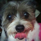 Dena Klemm's photo
