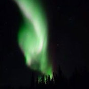 Robin Henderson's photo
