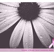 Susan Petito's photo
