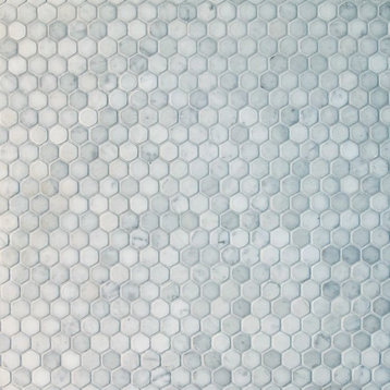 Bianco Carrara White Marble Polished 1" Hexagon Mosaic Tile, White Tumbled, Samp