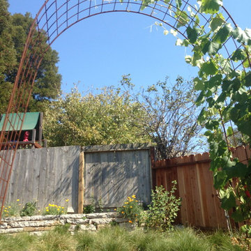 Urbanite Native Garden