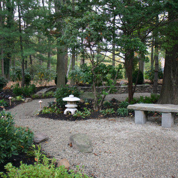 Backyard Renovation